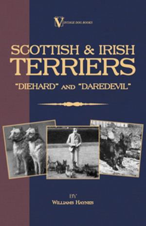 bigCover of the book Scottish Terriers and Irish Terriers - Scottie Diehard and Irish Daredevil (a Vintage Dog Books Breed Classic) by 