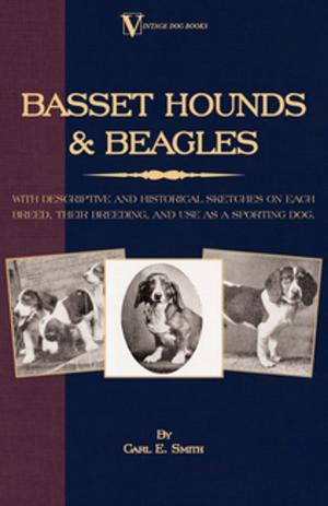Cover of the book Basset Hounds & Beagles: With Descriptive and Historical Sketches on Each Breed, Their Breeding, and Use as a Sporting Dog by John D. Seymour