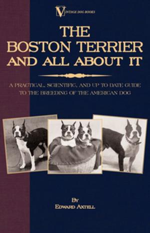 Cover of The Boston Terrier and All about It: A Practical, Scientific, and Up to Date Guide to the Breeding of the American Dog