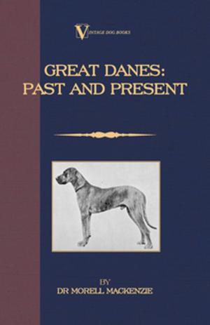 Cover of the book Great Danes: Past and Present by William Henry Hudson