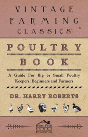 bigCover of the book Poultry Book - A Guide for Big or Small Poultry Keepers, Beginners and Farmers by 