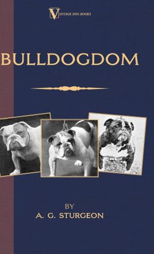 Cover of the book Bulldogdom by Franz Boas