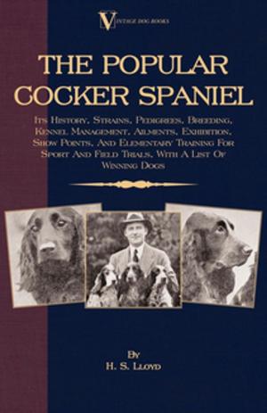 Cover of the book The Popular Cocker Spaniel - Its History, Strains, Pedigrees, Breeding, Kennel Management, Ailments, Exhibition, Show Points, And Elementary Training For Sport And Field Trials, With A List Of Winning Dogs by Peter Fleming