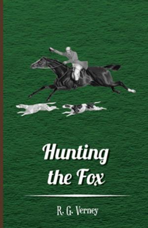 Cover of the book Hunting the Fox by Edward Thomas