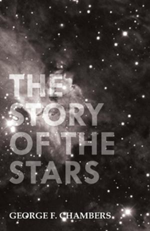 Cover of the book The Story of the Stars by Anon.