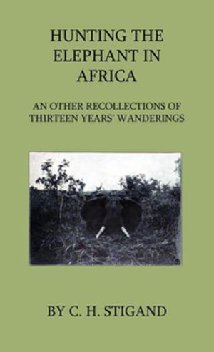 Book cover of Hunting the Elephant in Africa and Other Recollections of Thirteen Years' Wanderings