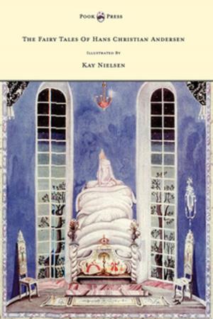 Book cover of The Fairy Tales of Hans Christian Andersen - Illustrated by Kay Nielsen