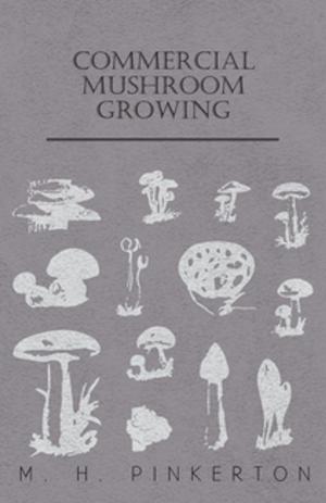 Cover of the book Commercial Mushroom Growing by Ike Williams