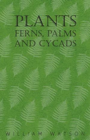 Book cover of Plants - Ferns, Palms and Cycads