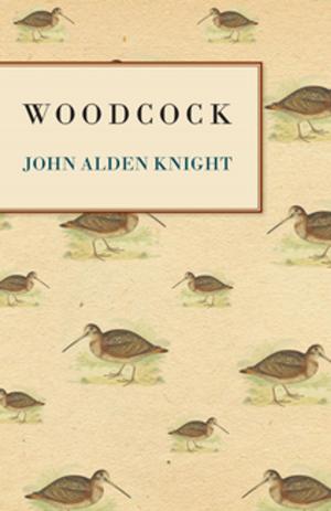Cover of the book Woodcock by Arthur Glyn Leonard