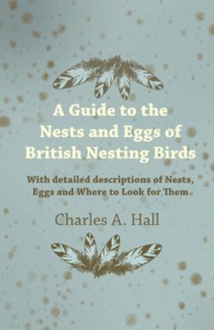 bigCover of the book A Guide to the Nests and Eggs of British Nesting Birds - With Detailed Descriptions of Nests, Eggs, and Where to Look for Them by 