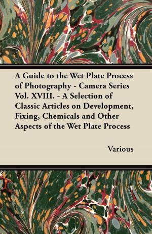 bigCover of the book A Guide to the Wet Plate Process of Photography - Camera Series Vol. XVIII. - A Selection of Classic Articles on Development, Fixing, Chemicals and by 