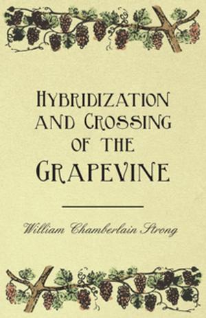 Book cover of Hybridization and Crossing of the Grapevine