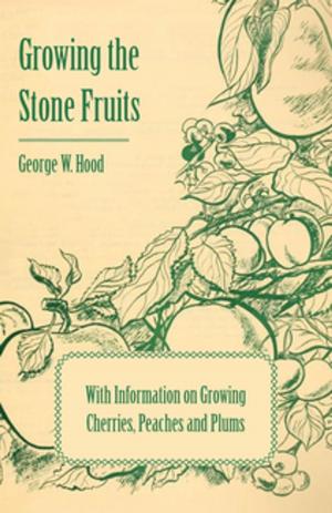 Cover of the book Growing the Stone Fruits - With Information on Growing Cherries, Peaches and Plums by Thomas Burke