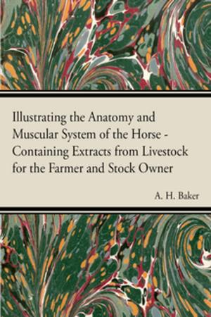 Book cover of Illustrating the Anatomy and Muscular System of the Horse - Containing Extracts from Livestock for the Farmer and Stock Owner