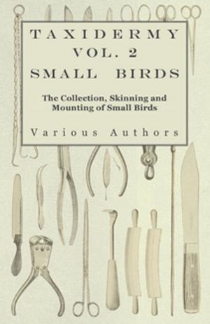 Book cover of Taxidermy Vol.2 Small Birds - The Collection, Skinning and Mounting of Small Birds
