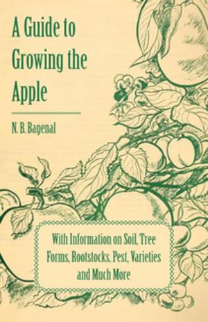 bigCover of the book A Guide to Growing the Apple with Information on Soil, Tree Forms, Rootstocks, Pest, Varieties and Much More by 