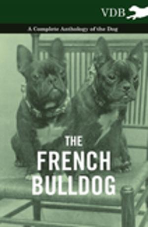 Cover of the book The French Bulldog - A Complete Anthology of the Dog by Anon.
