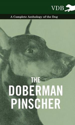 Cover of the book The Doberman Pinscher - A Complete Anthology of the Dog - by Robert E. Howard
