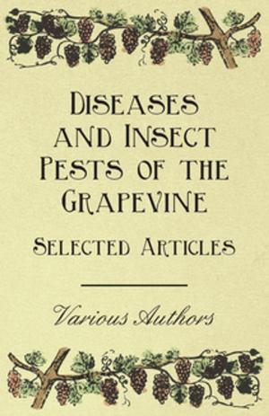 Cover of the book Diseases and Insect Pests of the Grapevine - Selected Articles by Richard Jefferies