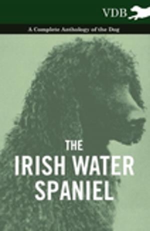 bigCover of the book The Irish Water Spaniel - A Complete Anthology of the Dog by 