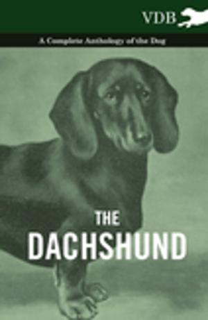 Cover of the book The Dachshund - A Complete Anthology of the Dog - by George Saintsbury