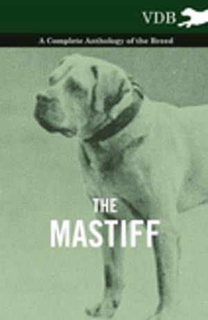 Cover of the book The Mastiff - A Complete Anthology of the Breed by Guy de Mauspassant