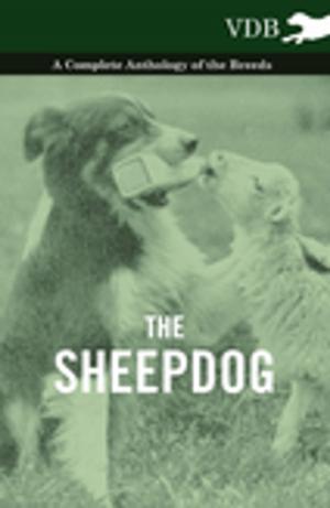 Cover of the book The Sheepdog - A Complete Anthology of the Breeds by Eleanor Rowe