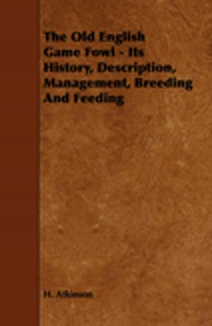 bigCover of the book The Old English Game Fowl - Its History, Description, Management, Breeding and Feeding by 