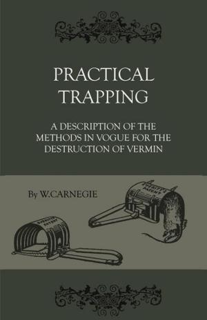 Cover of the book Practical Trapping - A Description Of The Methods In Vogue For The Destruction Of Vermin by Stanley G. Weinbaum