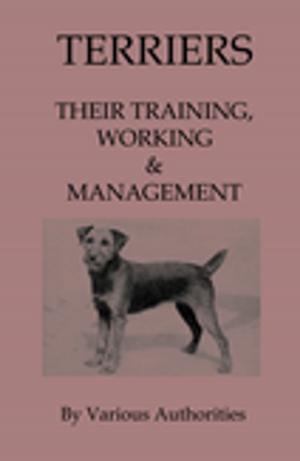 Book cover of Terriers - Their Training, Work & Management