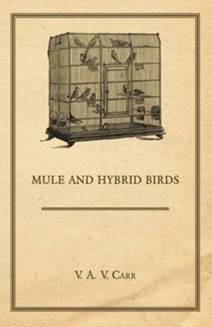 Cover of the book Mule And Hybrid Birds by East Sussex