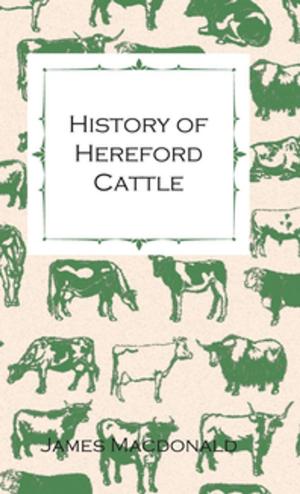 Cover of the book History of Hereford Cattle by Edward Vogel