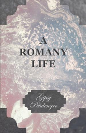 Cover of the book A Romany Life by Charles Dudley Warner