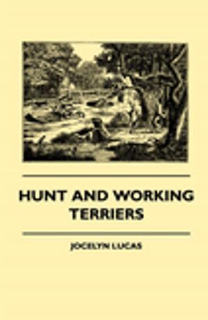 Cover of the book Hunt And Working Terriers by Edith Wharton