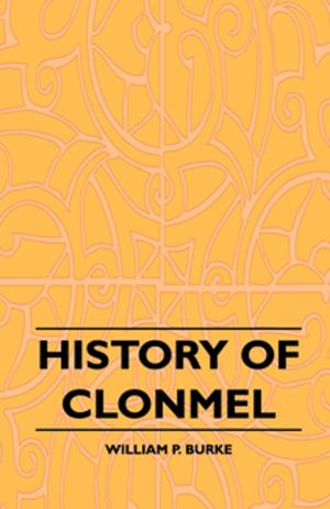 Cover of the book History of Clonmel by Jessica Lofthouse