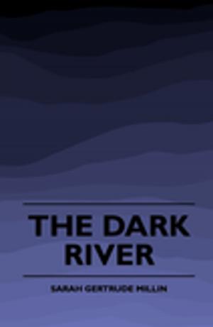 Cover of the book The Dark River (1920) by Ian Hay