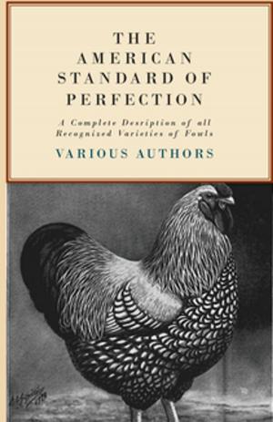 Cover of the book The American Standard of Perfection - A Complete Desription of All Recognized Varieties of Fowls by Aristotle