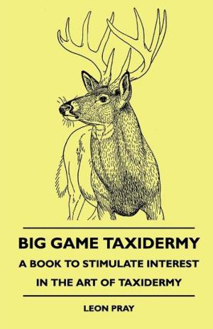 Book cover of Big Game Taxidermy - A Book To Stimulate Interest In The Art Of Taxidermy