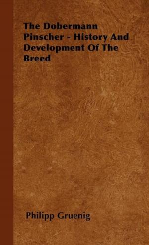 bigCover of the book The Dobermann Pinscher - History And Development Of The Breed by 