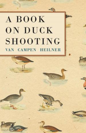 Cover of the book A Book on Duck Shooting by Reinhold Niebuhr