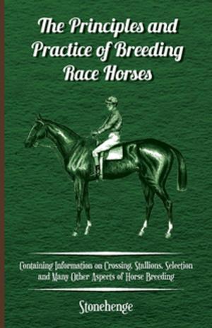 Cover of the book The Principles and Practice of Breeding Race Horses - Containing Information on Crossing, Stallions, Selection and Many Other Aspects of Horse Breedin by Nikolai Gogol