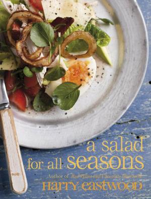 Cover of the book A Salad for All Seasons by Margaret Mayhew