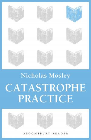 Book cover of Catastrophe Practice