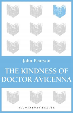 Book cover of The Kindness of Doctor Avicenna