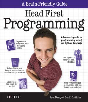 Cover of the book Head First Programming by Dan Zarrella, Alison Zarrella