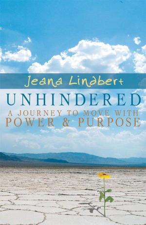 bigCover of the book Unhindered by 