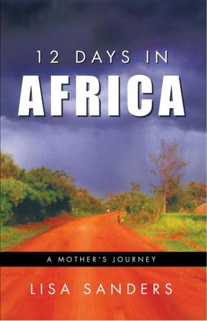Cover of the book 12 Days in Africa by David W. T. Brattston