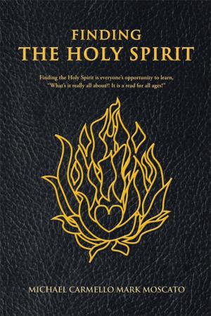 Cover of the book Finding the Holy Spirit by Lisa A. Murray