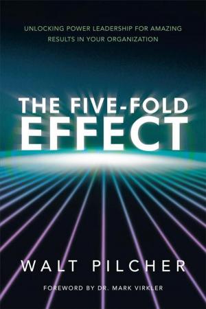 Cover of the book The Five-Fold Effect by David Srygley